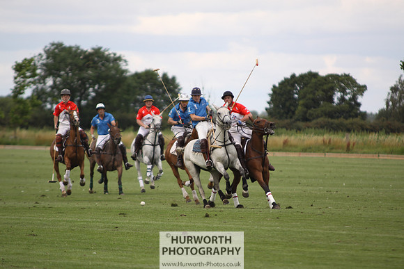 White Rose Polo 071