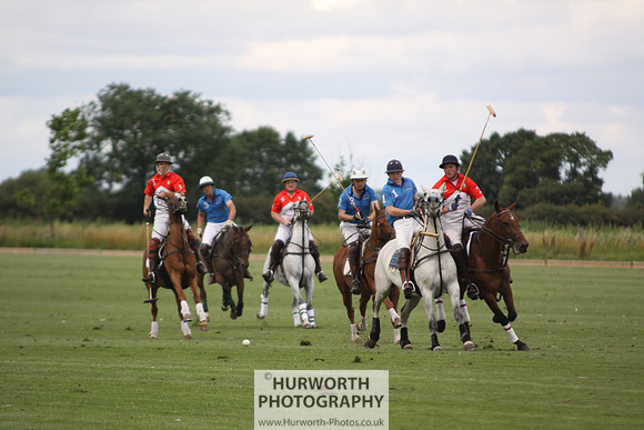 White Rose Polo 072