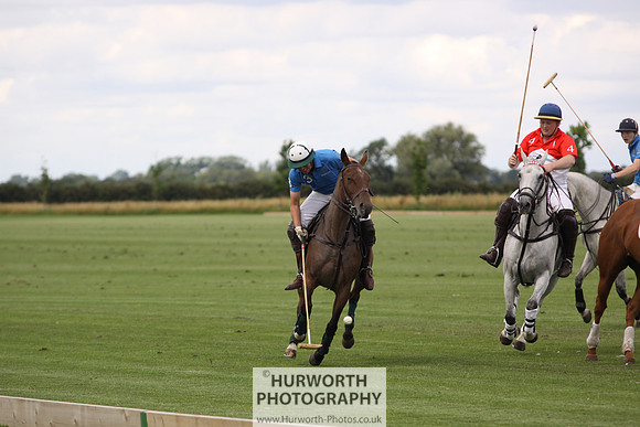 White Rose Polo 073