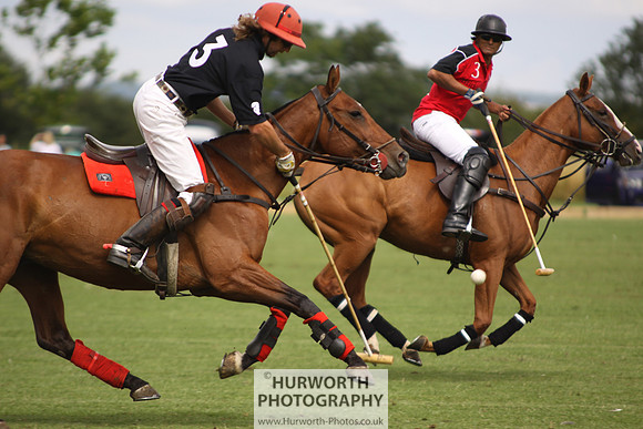 White Rose Polo 012
