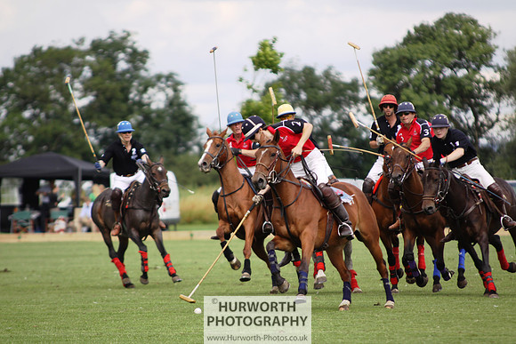 White Rose Polo 014