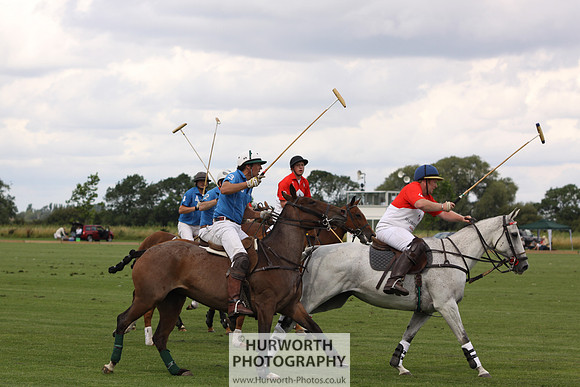 White Rose Polo 076