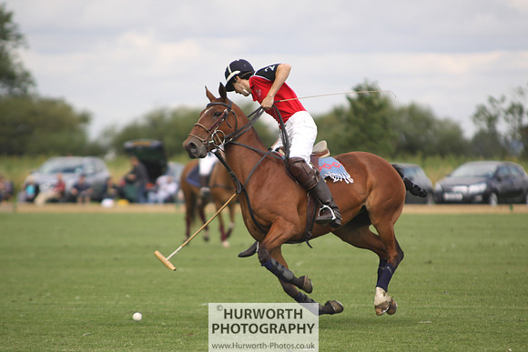 White Rose Polo 015