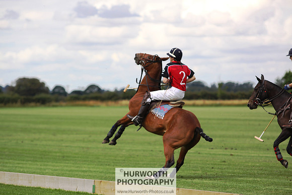 White Rose Polo 017