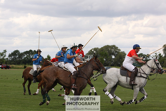 White Rose Polo 077