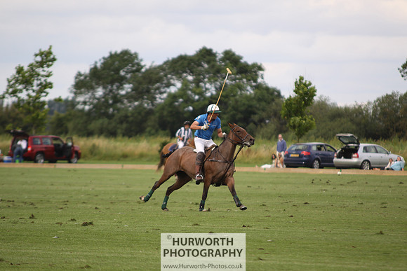 White Rose Polo 079