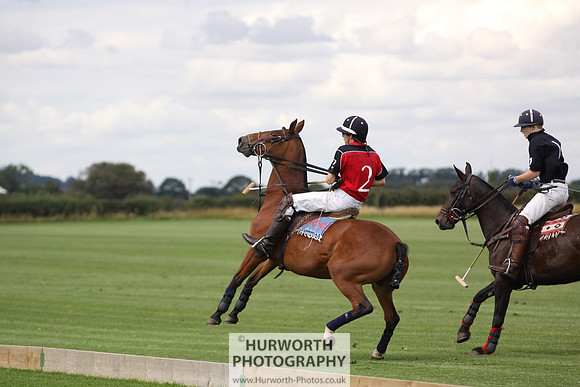 White Rose Polo 018