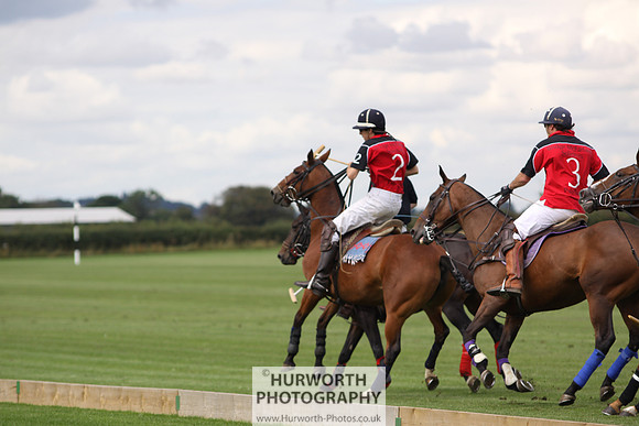 White Rose Polo 019