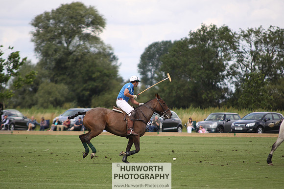 White Rose Polo 080