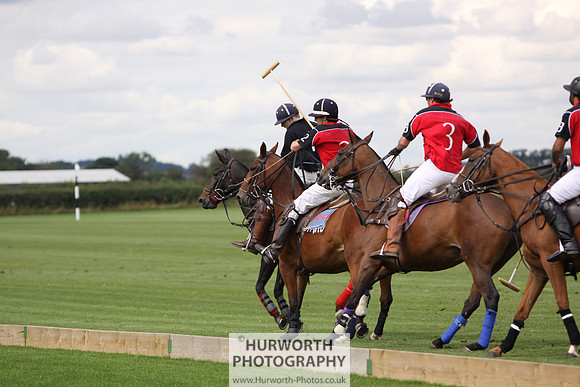 White Rose Polo 020