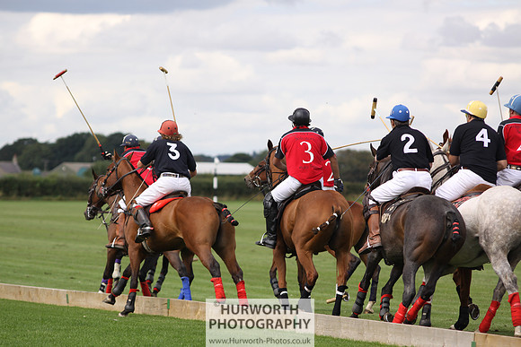 White Rose Polo 021