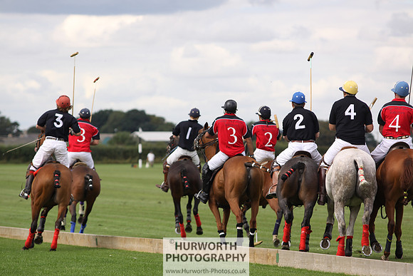 White Rose Polo 022