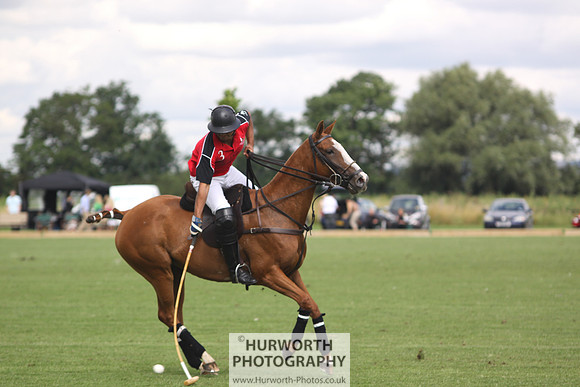 White Rose Polo 024