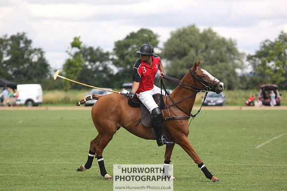 White Rose Polo 025