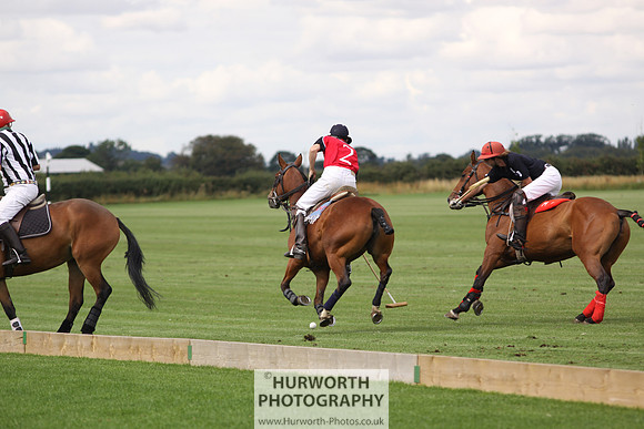 White Rose Polo 026