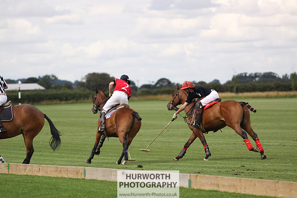 White Rose Polo 027