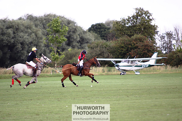 White Rose Polo 029