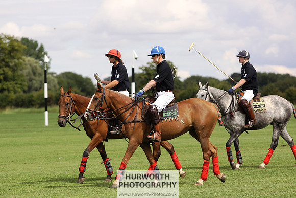 White Rose Polo 031