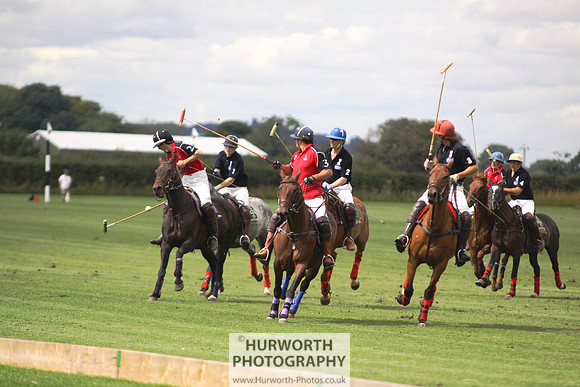 White Rose Polo 034