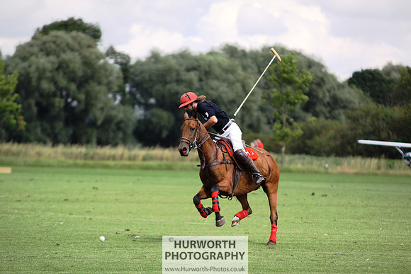 White Rose Polo 035