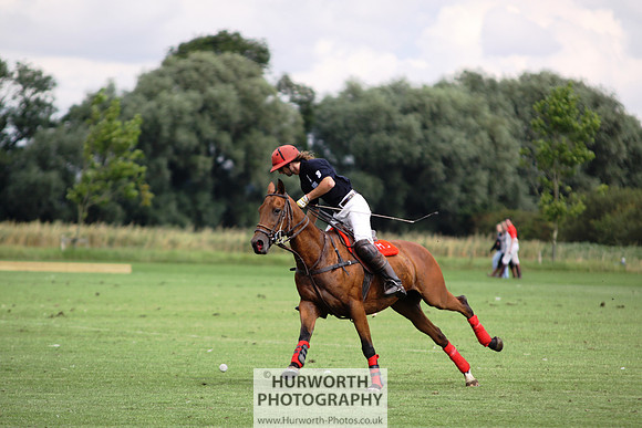 White Rose Polo 036