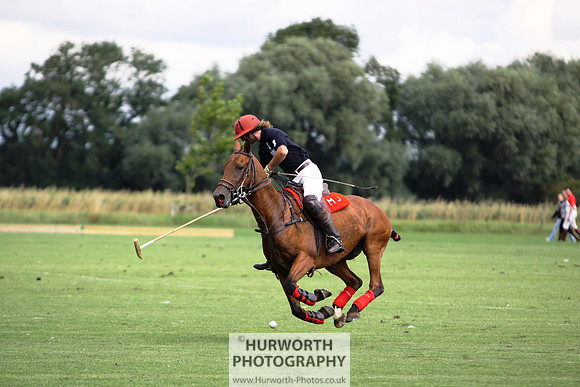White Rose Polo 037