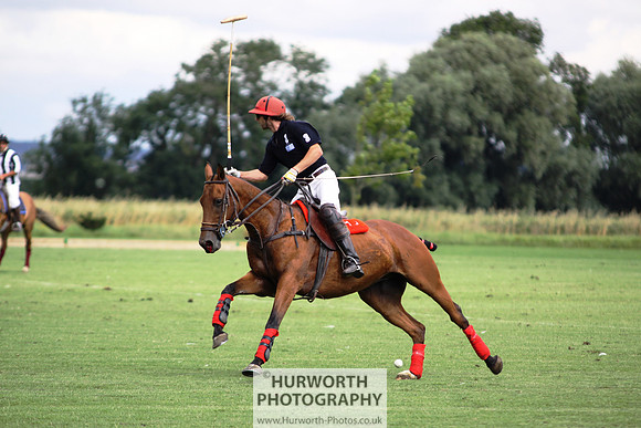 White Rose Polo 038