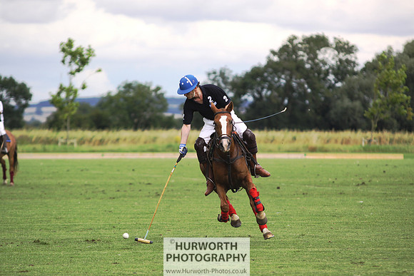White Rose Polo 039