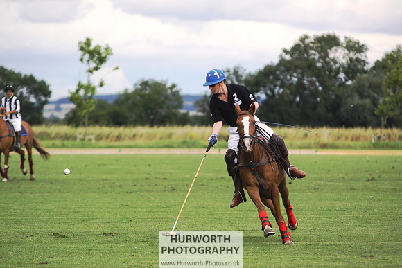 White Rose Polo 040
