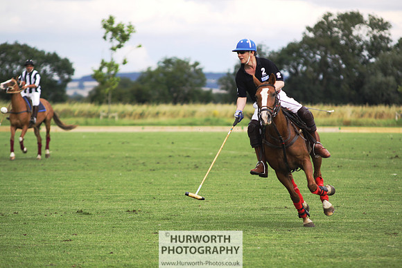 White Rose Polo 041