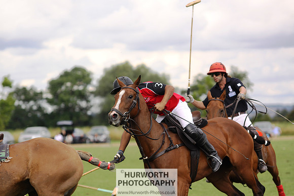 White Rose Polo 042