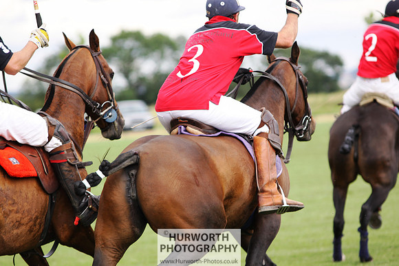 White Rose Polo 045