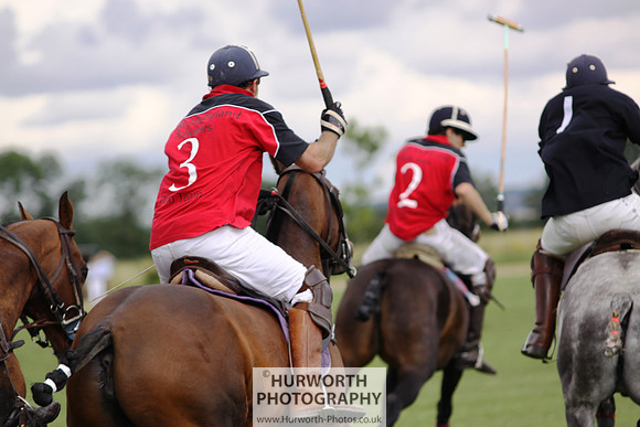 White Rose Polo 046