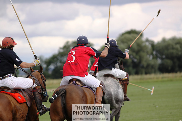 White Rose Polo 047