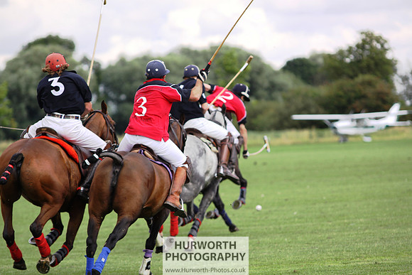White Rose Polo 049