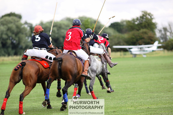 White Rose Polo 050