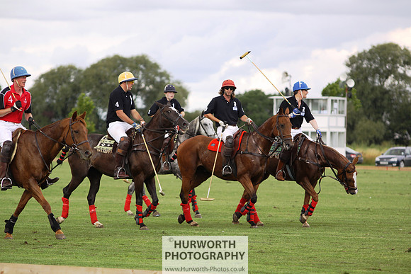 White Rose Polo 058