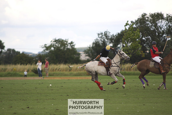 White Rose Polo 061