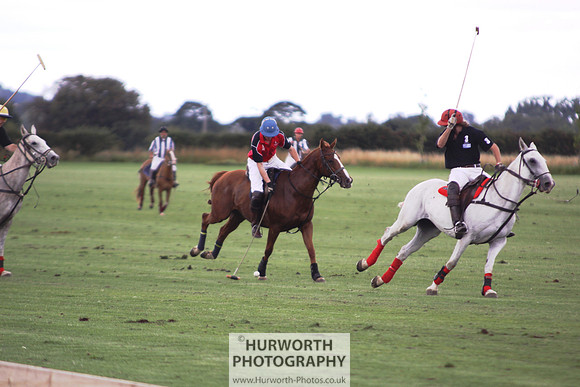 White Rose Polo 062