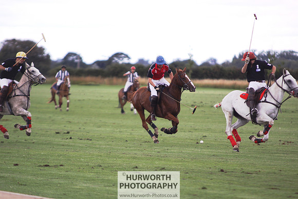 White Rose Polo 063