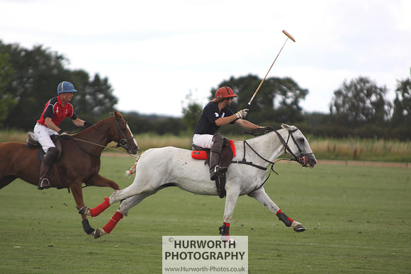 White Rose Polo 064