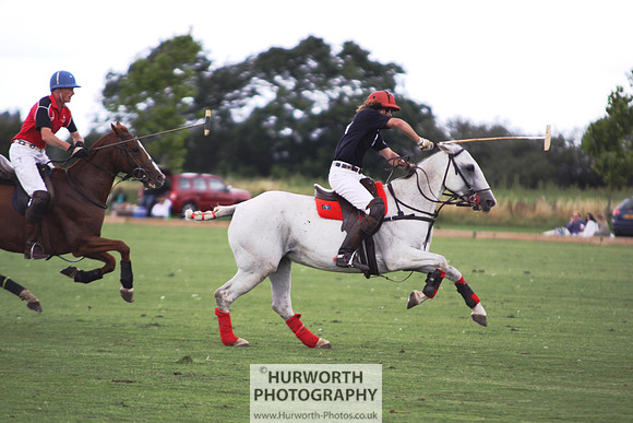 White Rose Polo 066