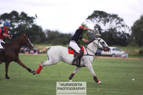 White Rose Polo 067