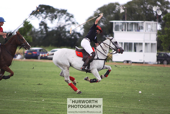 White Rose Polo 068