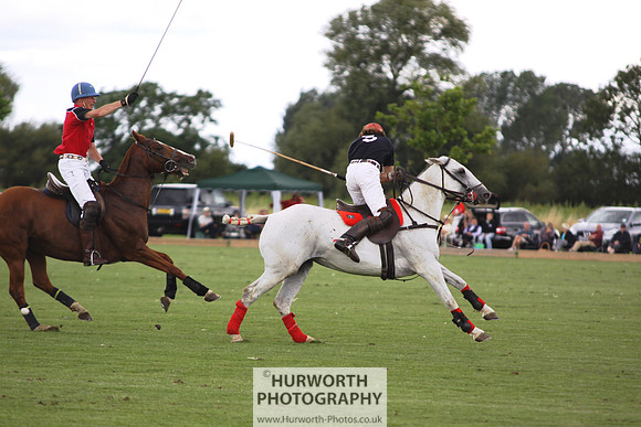 White Rose Polo 069