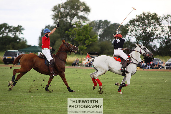 White Rose Polo 070