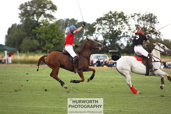 White Rose Polo 071