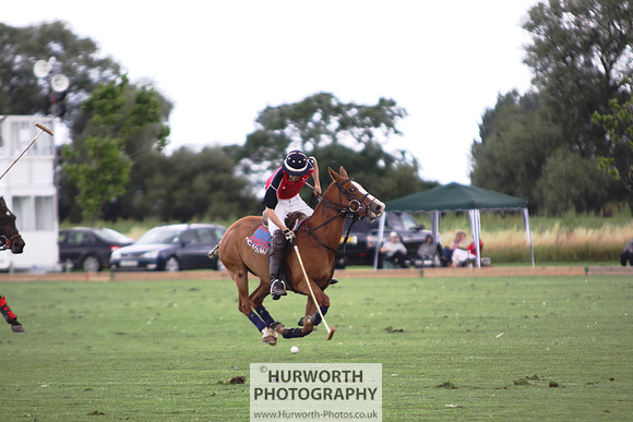 White Rose Polo 072