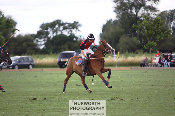 White Rose Polo 073