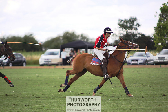 White Rose Polo 074